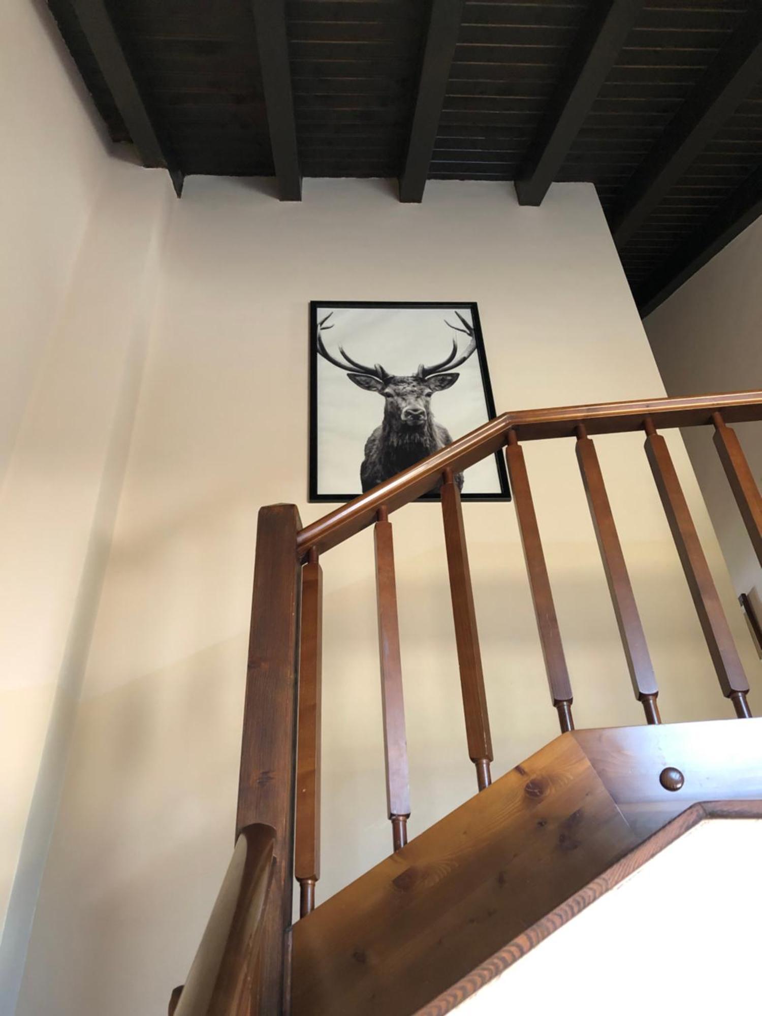 Casa Rural Mollo, Vall De Camprodon Exteriér fotografie