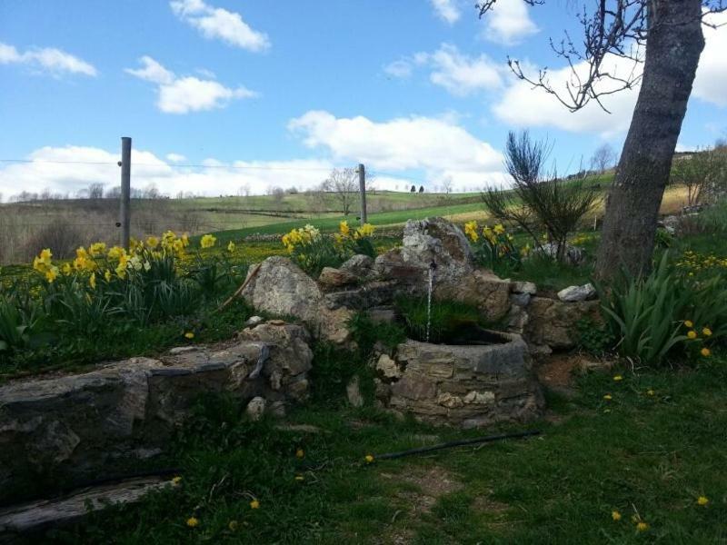 Casa Rural Mollo, Vall De Camprodon Exteriér fotografie
